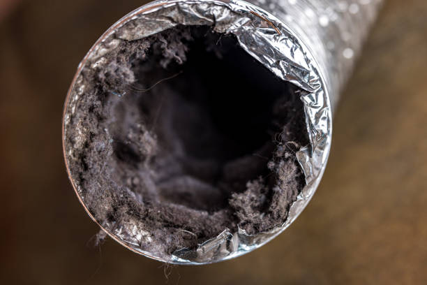 Best Local Air Duct Cleaning Services  in Pine Manor, FL