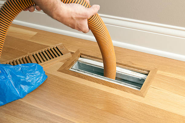 Best Air Duct Cleaning Near Me  in Pine Manor, FL