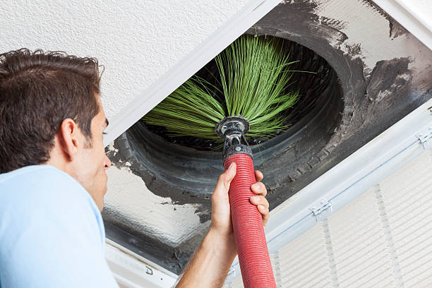 Best Dryer Vent Cleaning Services  in Pine Manor, FL