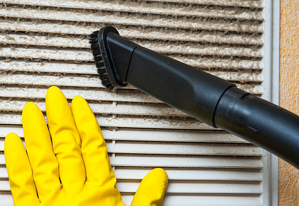 Best HVAC System Cleaning  in Pine Manor, FL